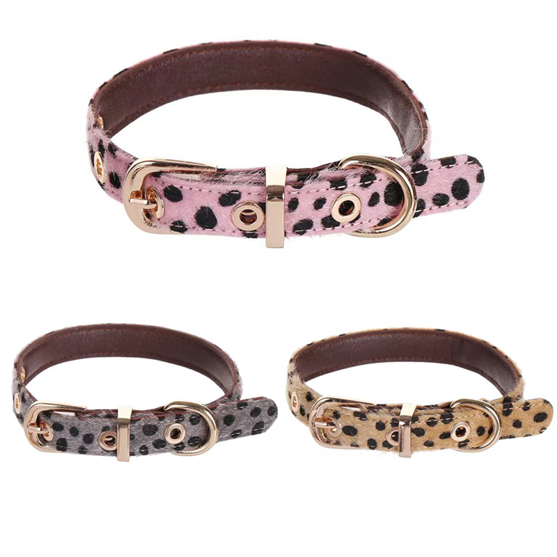 Leather Strap Quick Release - Collare per cani di piccola taglia